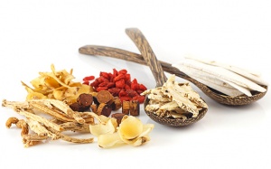 4 thảo dược quý giúp phòng và cải thiện hiệu quả biến chứng đái tháo đường 