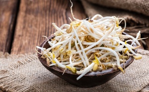 Người bệnh đái tháo đường có ăn giá đỗ được không?