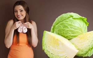 Bà bầu ăn bắp cải có an toàn?