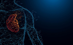 Cầu cơ mạch vành có nguy hiểm không, có cần điều trị không?