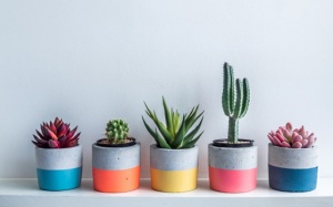 Tử vi thứ Năm (16/7/2020): Cự Giải sẽ có cái nhìn mới mẻ, độc đáo hơn về cuộc sống