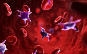 Giảm tiểu cầu do sốt xuất huyết: Ăn gì giúp tăng nhanh nhất?