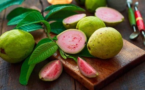 Ăn ổi giúp tăng cường hệ miễn dịch?