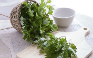 Bạn đã biết những lợi ích này của ngải cứu?