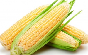 Lợi ích sức khỏe không ngờ khi ăn ngô