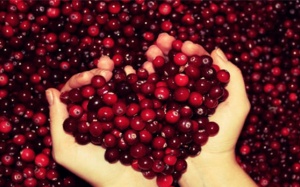 6 lý do bạn nên ăn quả nam việt quất thường xuyên