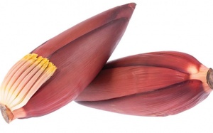 Hoa chuối và những lợi ích đối với sức khỏe ít người biết