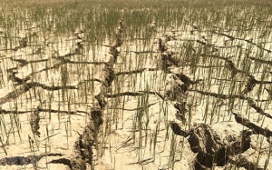 Dự báo thời tiết: Hạn hán khu vực Trung Bộ, Bắc Bộ mưa lớn