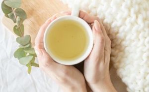 Giảm kháng insulin, ngừa bệnh mạn tính bằng trà trắng