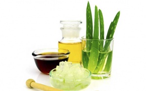 9 lợi ích của việc uống nha đam với mật ong mỗi sáng