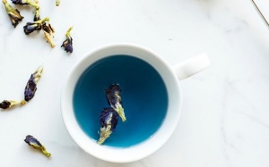 Khỏe bên trong đẹp bên ngoài với trà hoa đậu biếc