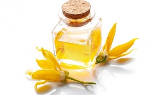 Cải thiện thể chất và tinh thần với tinh dầu ngọc lan tây