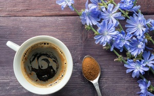 Thức uống từ rễ rau diếp xoăn: Sự thay thế hoàn hảo cho cà phê?