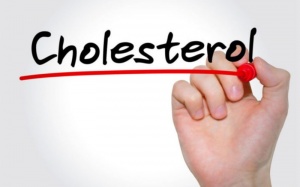 Rối loạn mỡ máu, chỉ số cholesterol cao nguy hại thế nào?