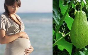 Bà bầu ăn su su có tốt không?