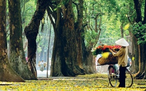 Dự báo thời tiết: Miền Bắc đón đợt gió mùa Đông Bắc