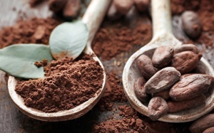 Lý do bạn nên uống cacao mỗi ngày