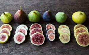 Mới bị sỏi mật dùng quả sung có khỏi không?