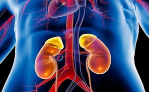 Cần làm gì để kéo dài tuổi thọ cho người suy thận mạn giai đoạn cuối?