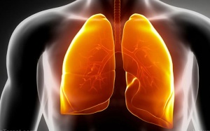 Người bệnh xơ nang ăn gì tốt?