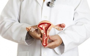 Thực phẩm giúp phòng ngừa và thu nhỏ u xơ tử cung