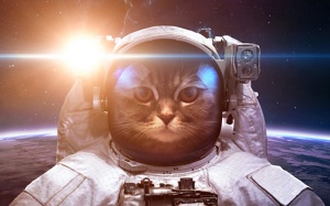 Tử vi thứ Hai (19/10/2020): Cự Giải nên mạnh dạn hơn trong cuộc sống