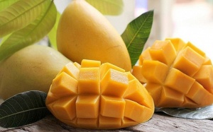 Người bệnh đái đường type 2 ăn xoài chín được không?