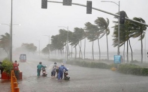 Dự báo thời tiết: Bão số 8 chưa tan lại thêm bão mới