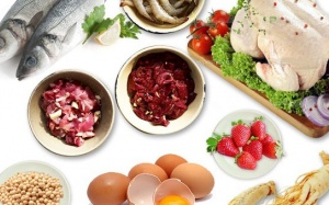 Người bệnh loãng xương cần tránh xa những loại thực phẩm này