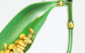 Sỏi mật tái phát sau phẫu thuật, dùng thuốc có tan được không?