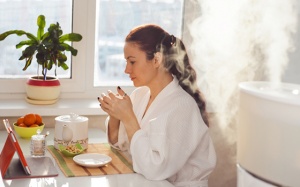Nguy cơ sức khỏe từ máy tạo độ ẩm trong mùa Đông