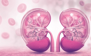 Thiếu máu do suy thận mạn: Cách nào khắc phục hiệu quả?