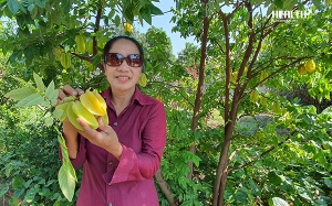 Sử dụng sản phẩm thảo dược để cải thiện tình trạng đau thắt ngực