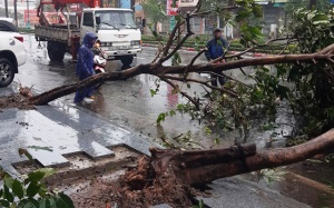 Dự báo thời tiết: Mưa lớn, nguy cơ sạt lở từ Quảng Trị đến Quảng Ngãi
