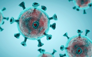 Phát hiện virus SARS-CoV-2 trong tinh hoàn của bệnh nhân Covid-19