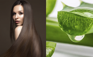 Tự làm dầu gội nha đam cho mái tóc bóng mượt, chắc khỏe