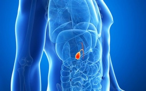 Túi mật co nhỏ có nguy hiểm không, cách điều trị thế nào?