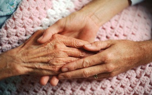 Chăm sóc dinh dưỡng dành cho người bệnh Alzheimer