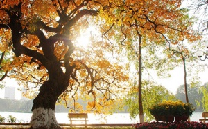 Dự báo thời tiết: Tiết Thu và ô nhiễm không khí ở miền Bắc