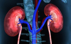 Suy thận độ 1 có chữa khỏi được không?