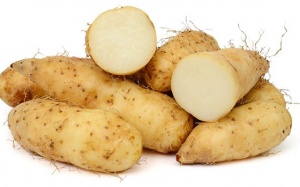 Bà bầu ăn củ từ có tốt không?