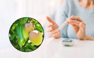 Cây thuốc trị đái tháo đường - không thiếu nhưng chọn sao cho đúng?