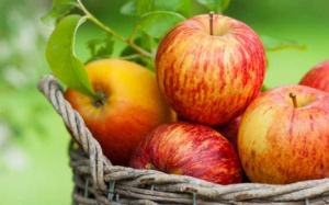 Ăn táo giúp ngăn ngừa nguy cơ ung thư tuyến tiền liệt?