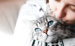 Tử vi thứ Ba (15/12/2020): Bảo Bình nên quan tâm người yêu nhiều hơn