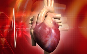 Cầu cơ tim gây hẹp 70% thì tâm thu thất trái, điều trị thế nào?