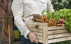 5 loại thực phẩm giúp giảm acid uric trong máu hiệu quả