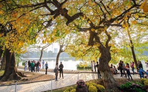 Dự báo thời tiết: Miền Bắc ấm áp trước khi chuyển rét đậm