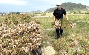 Tháo gỡ, điều chỉnh ngay các điểm bất cập của Thông tư 48/2018/TT-BYT