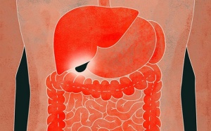 Liệu có thể sống bình thường sau khi cắt bỏ túi mật?