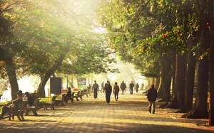 Dự báo thời tiết: Miền Bắc nắng khô, người dân chú ý phòng bệnh